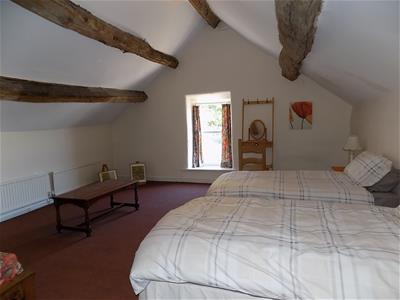 Picture 15